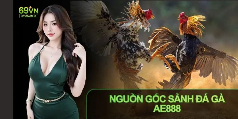 Đá gà AE888 được phát trực tiếp từ trường gà hợp pháp