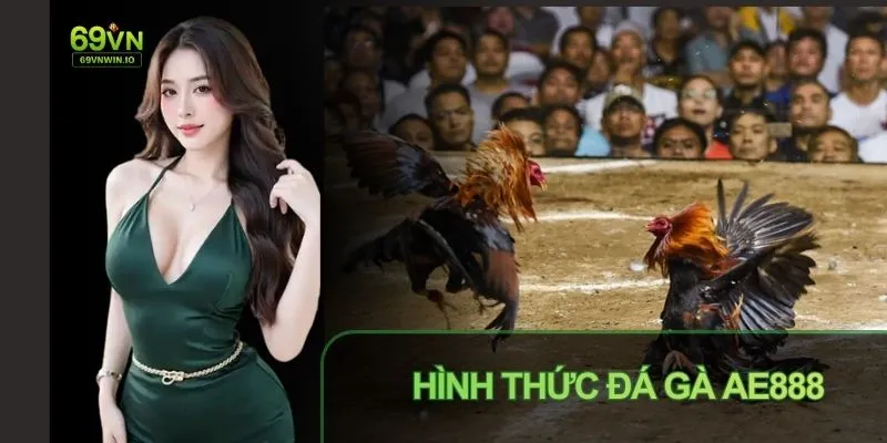 Sảnh Đá gà AE888 có giao diện đơn giản