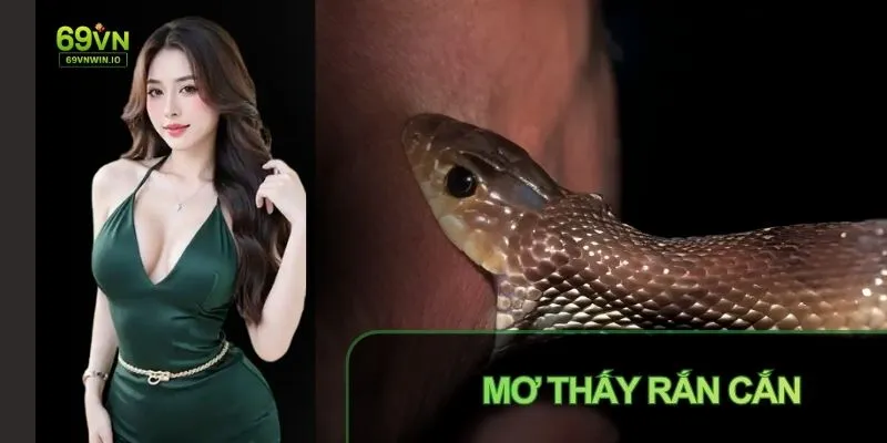 Mơ thấy rắn cắn giải mã ý nghĩa